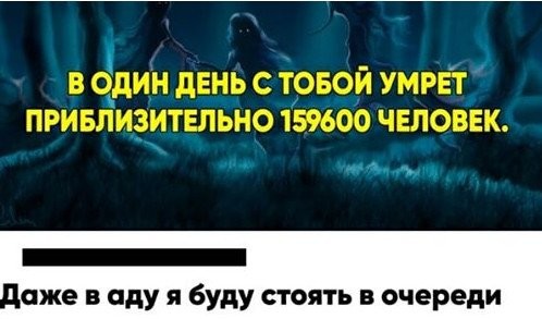 7d2f0a435da9528b9e.jpg