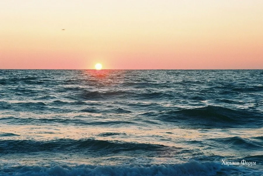 7d3592e433b08f3ac7.webp