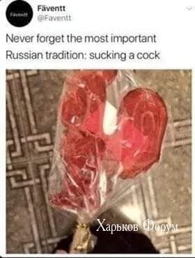 7d4134ad0882aa70b.jpg