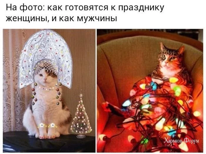 7d5500edb9f287a706.webp