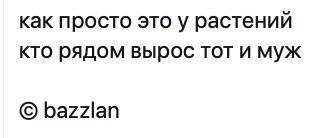 7d55bb4c24bcf7b4e05.jpg