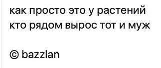 7d55bb4c24bcf7b4e05.webp