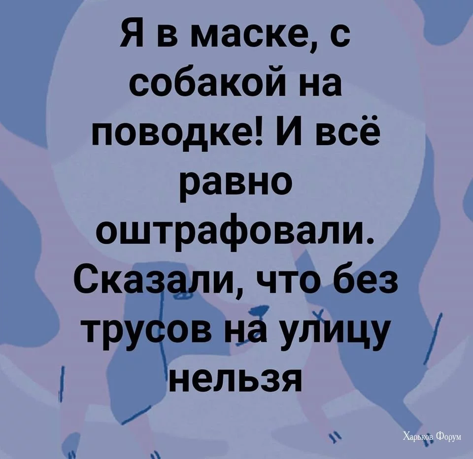 7d5f48802b65e496c29c.webp