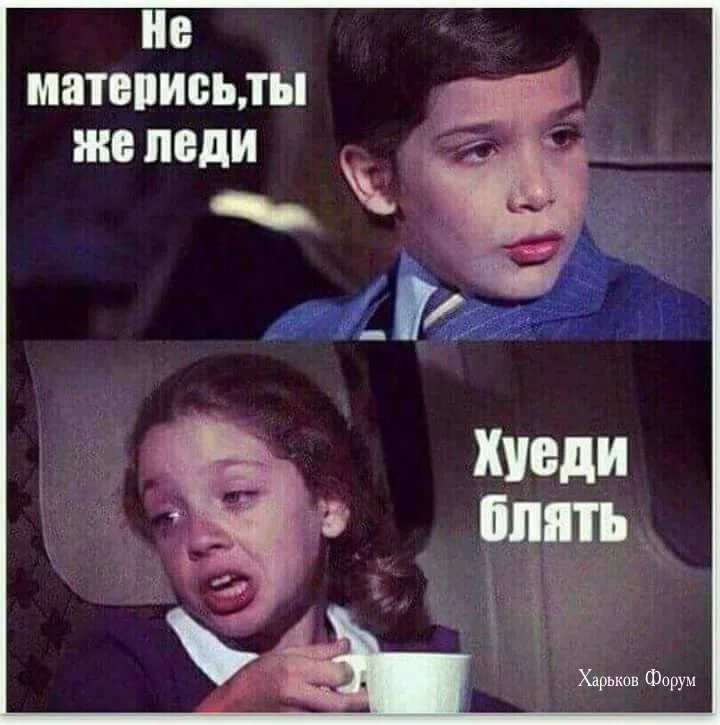 7d79740e1be2ee17fe5842.webp