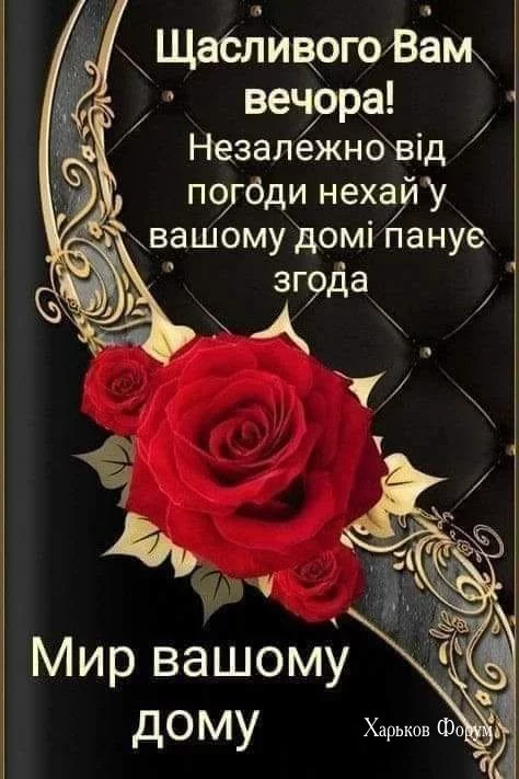 7d8746f40d780f06a638603.webp