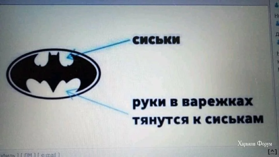 7d9d2502413dab67bdaf748.webp