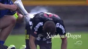 7db1829f3478f0663e.webp