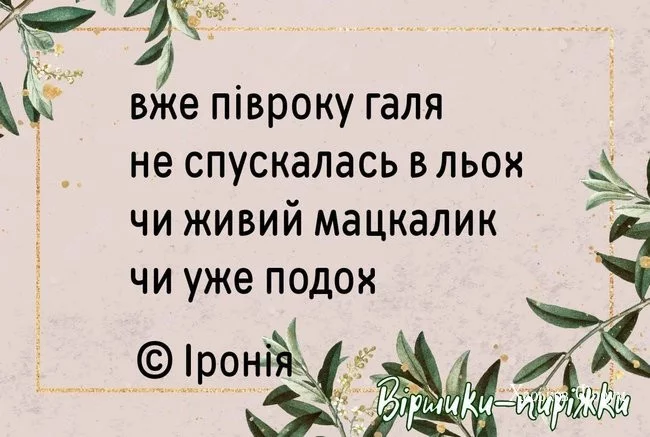 7db857756a1a987e.webp