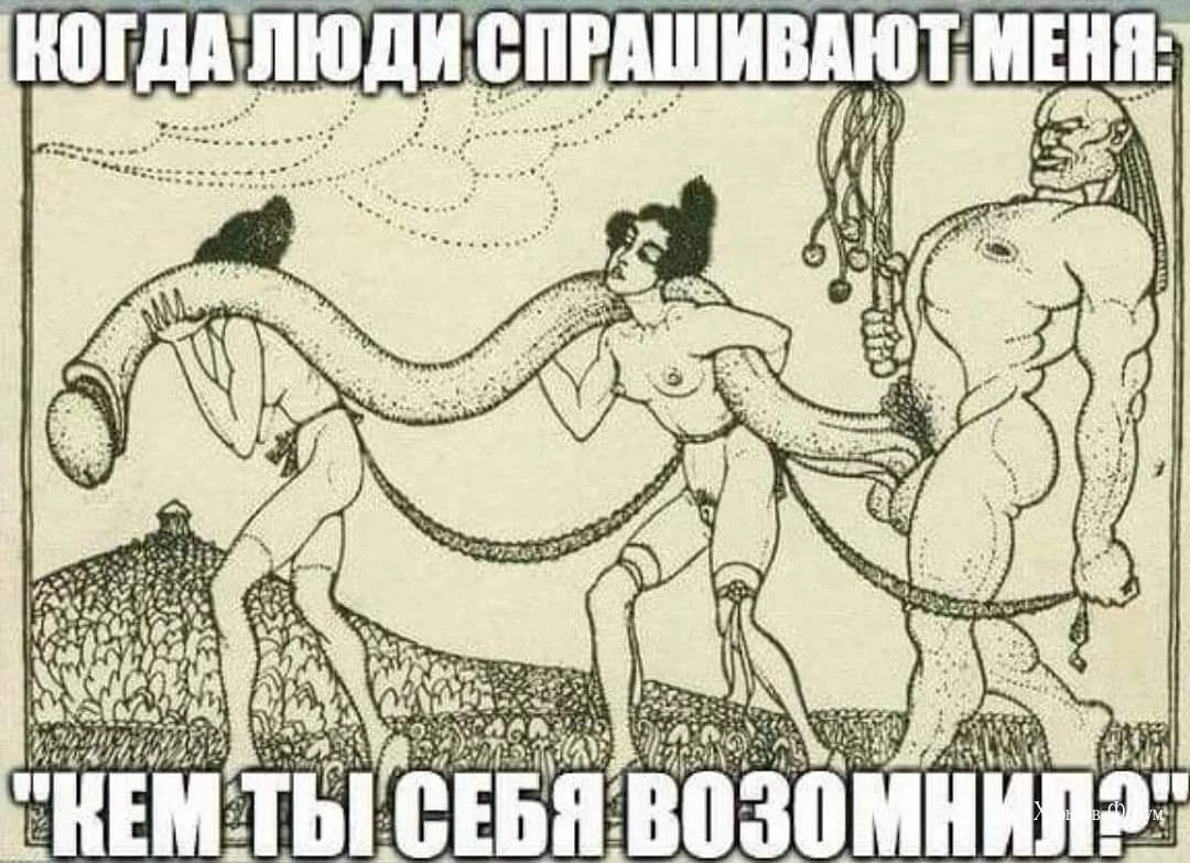 7db9174df0ada37c702.webp