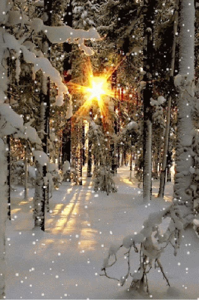 7dbfa8db74103624e4e4df.gif