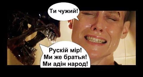 7dbgeb.webp