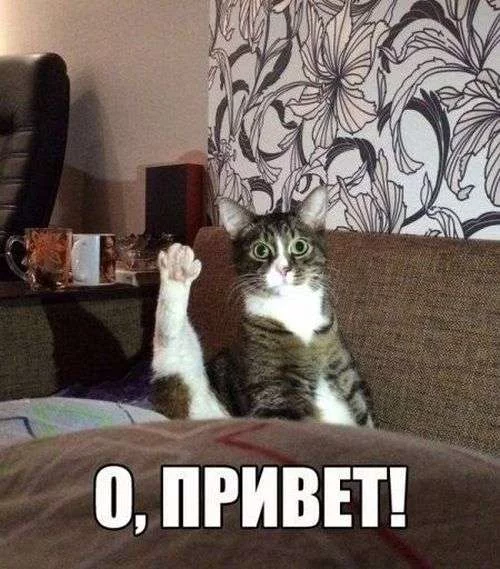 7dcaje.webp