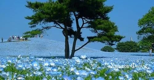 7dcfde1c9f1622a6903dab.webp