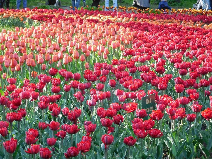 7dcjga.webp