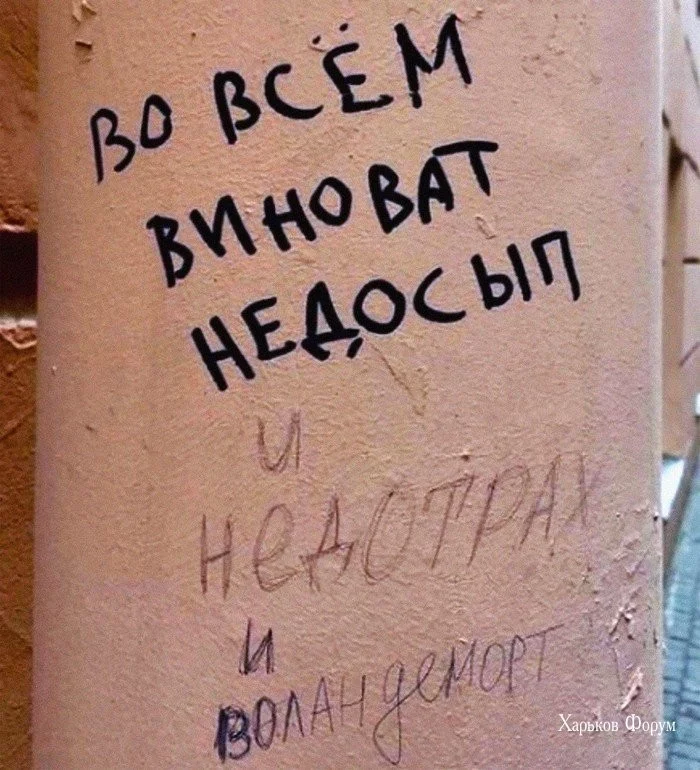 7dd2bec0a05d00c9c0.webp