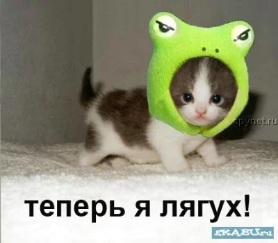 7deedg.webp