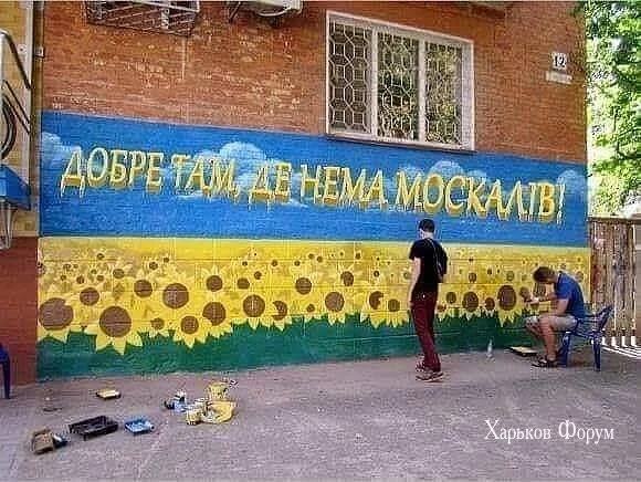 7df49410191dfdc45ca0e6e4.webp