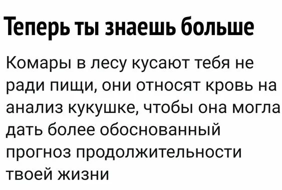 7dffdc.webp