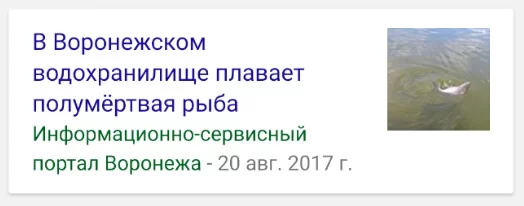 7dgebb.webp
