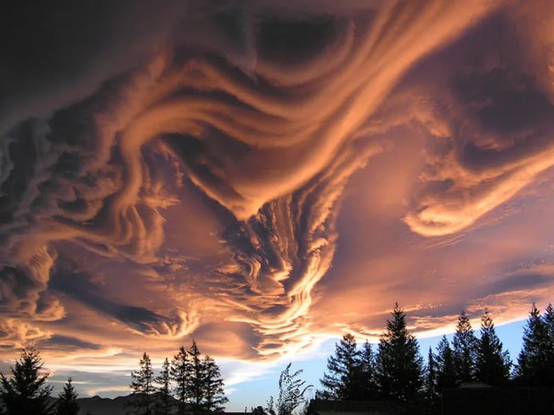 7dggjc.webp