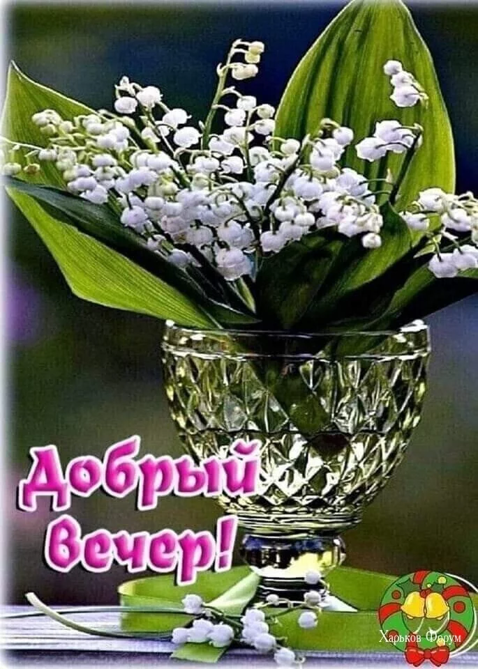 7e0e9d77c173bd59054.webp