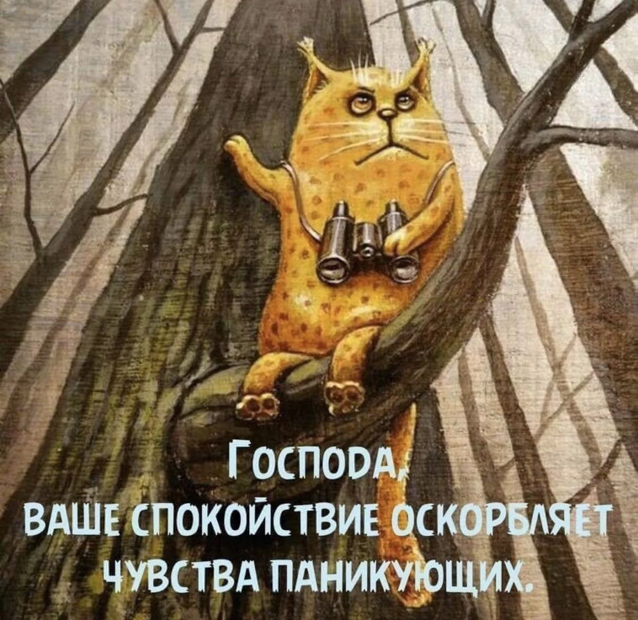 7e0f6bb41d8fbac844eae.webp
