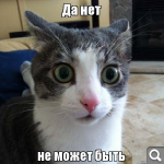 7e137f2fa2fa19611ea56025937f2ada.png