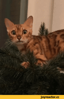 7e1e74273fbdf72a2e92ad.gif