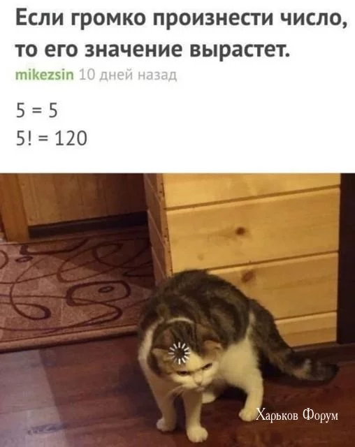 7e3acc6bb0879c3f.webp