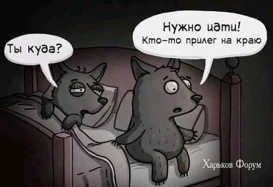 7e3cb732c662354e64.webp