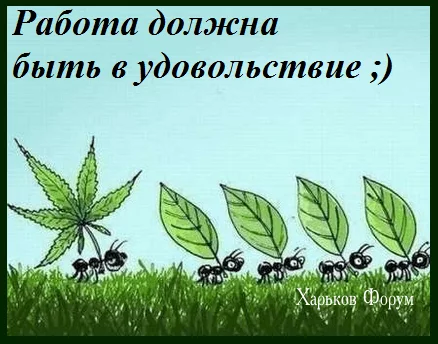 7e3d594048629fc7.webp