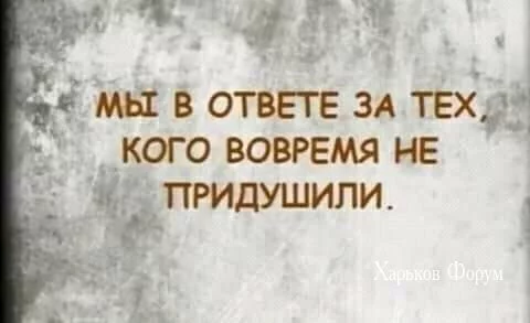7e402e99229661d6.webp