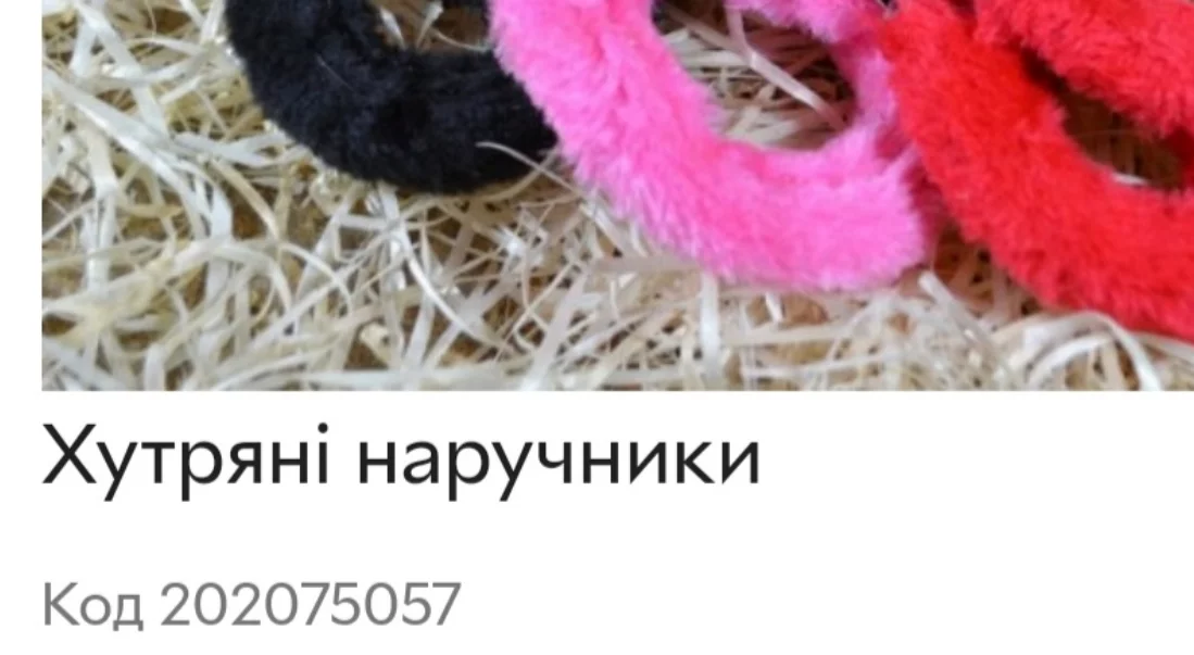 7e5ad6943ddfe295b.webp