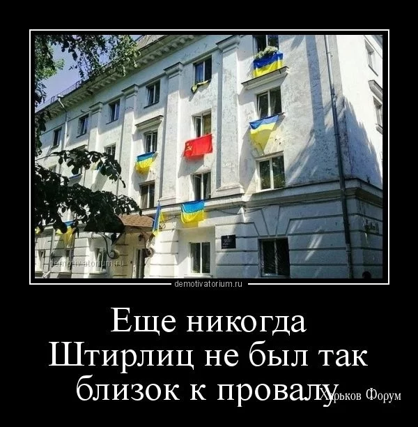 7e5be5c3521dfdae92c43.webp