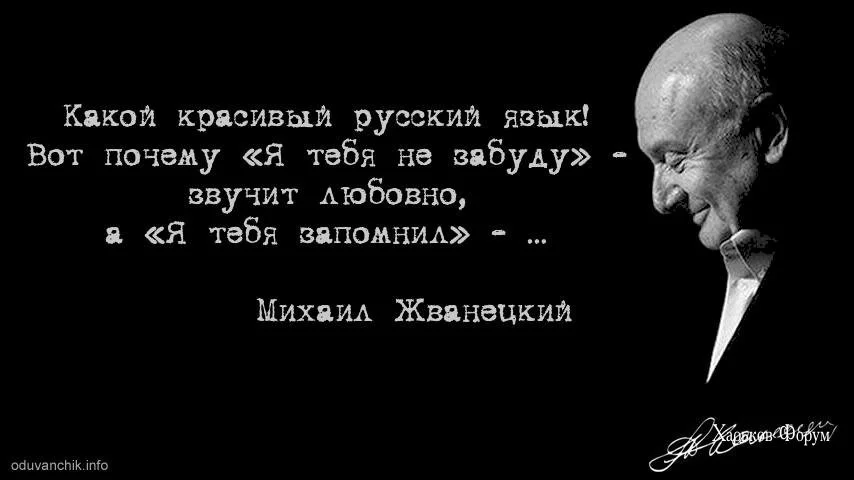 7e6856e867ecc11278a49e1.webp