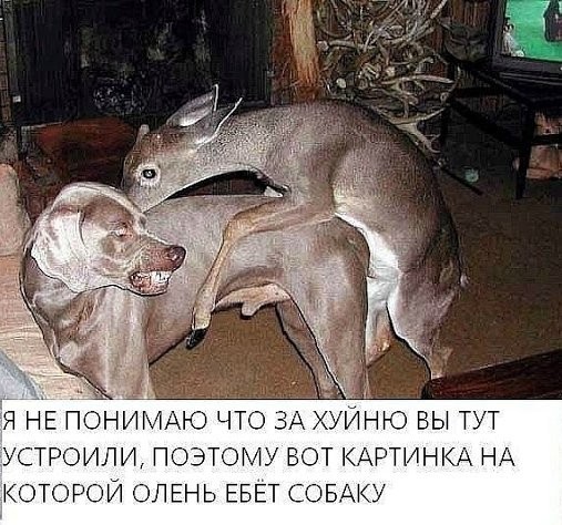7e68be9e60220371e58d5.jpg