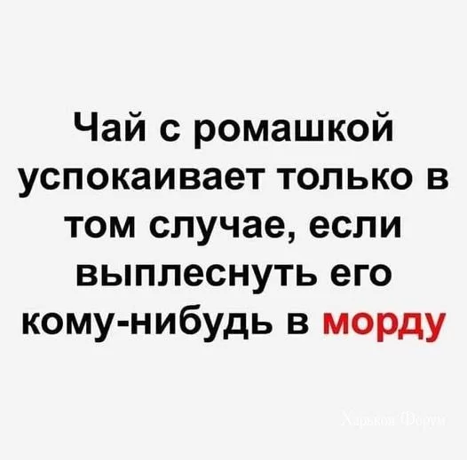 7e7566cc67a492be8.webp