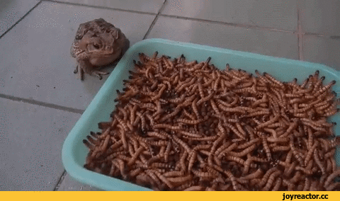 7e75d309af658117b3f228.gif