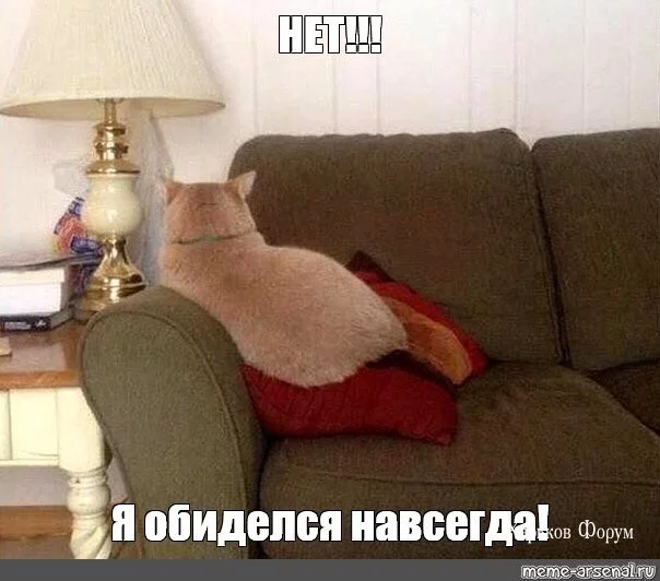 7e8a6f3a90a1d86e34eff.webp