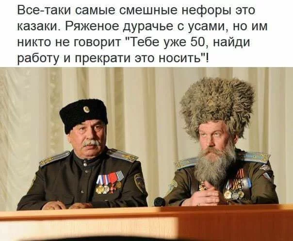 7ebcch.webp