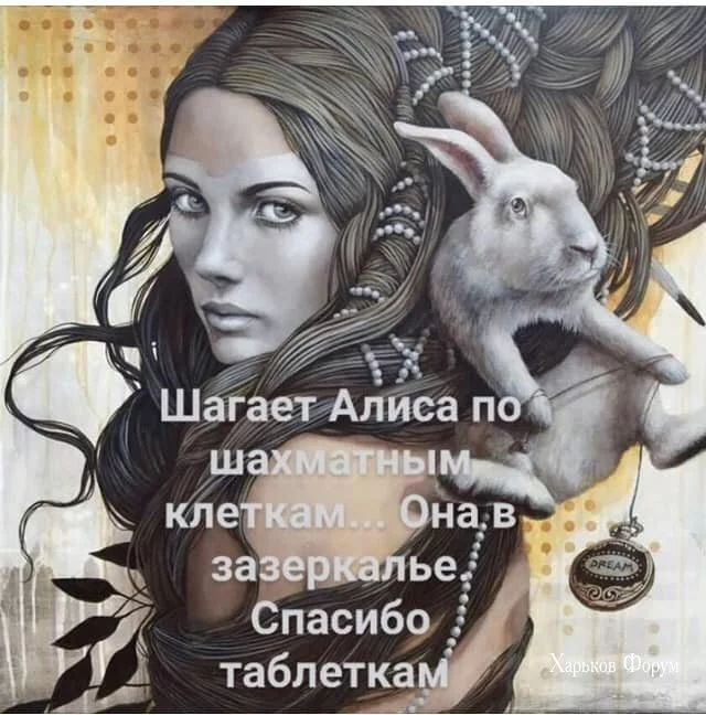 7ec3b1ffc079c1062d.webp