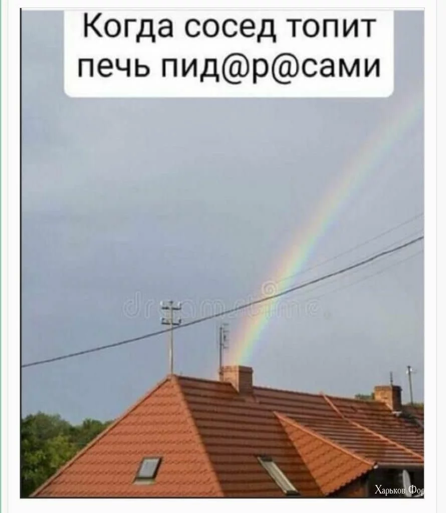 7ec557ec761a815b5c95.webp