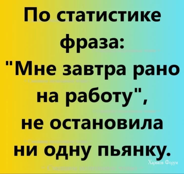 7ecb0a2b9762259a7.webp