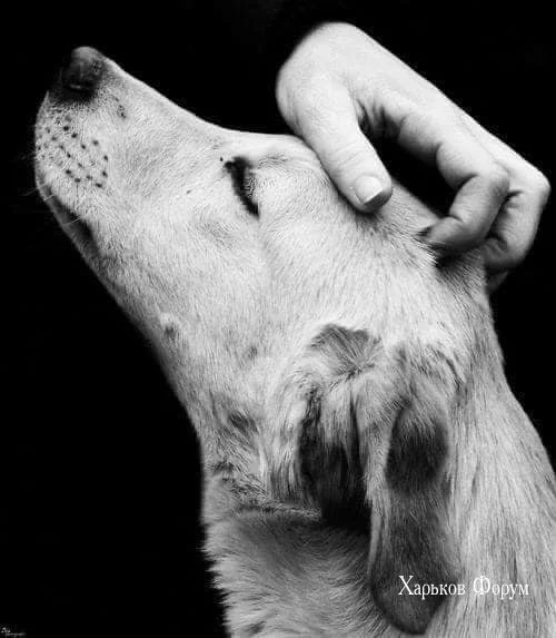7ecda033e65a7b9e6.webp