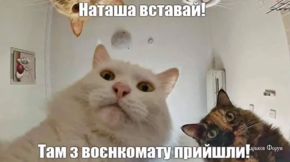 7ed5bd991e1e5cfb46.webp