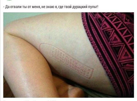 7edfjd.webp