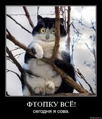 7EDzR45T2kAVyHpGNmXT1Y5E1PTNmgdPTw79w7zxNqCtnQ&t=1.webp