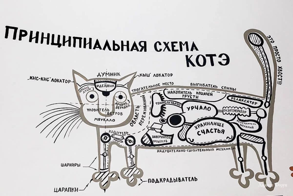 7ee599c35c972f4e9d22389b.webp