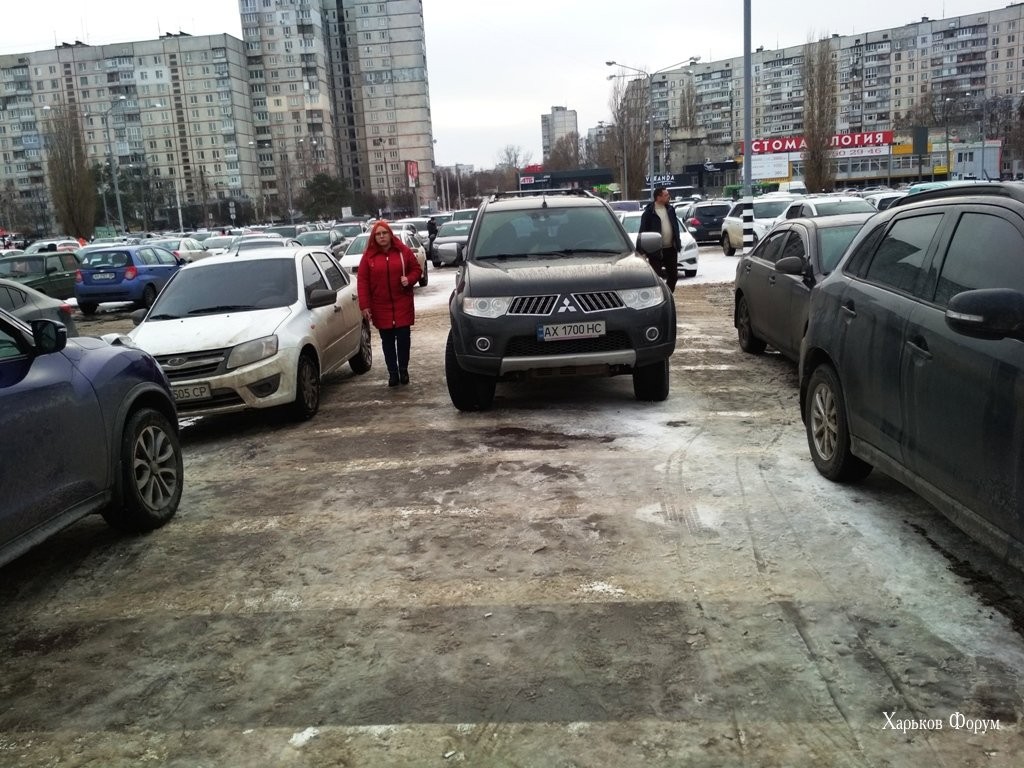 7eead77fa306f42bfd1a95.jpg