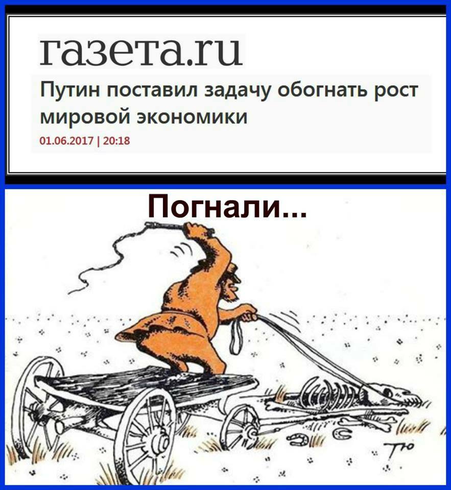 7efjdj.jpg